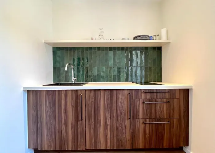 Pepiniere Renove Et Equipe * Nancy